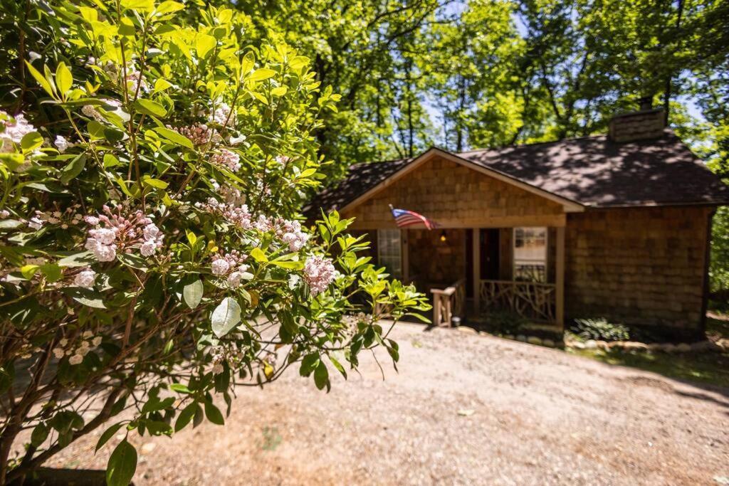 Pet Friendly Luxury Cabin Near Helen With Fire Pit Cleveland Exterior photo